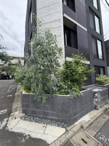 東京都 道路にはみ出した植木の剪定・ 刈り込みの外観