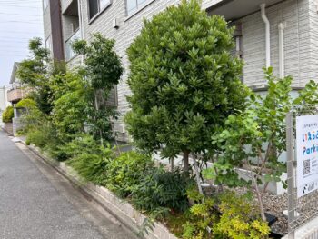 東京都 剪定 刈り込み 除草の外観